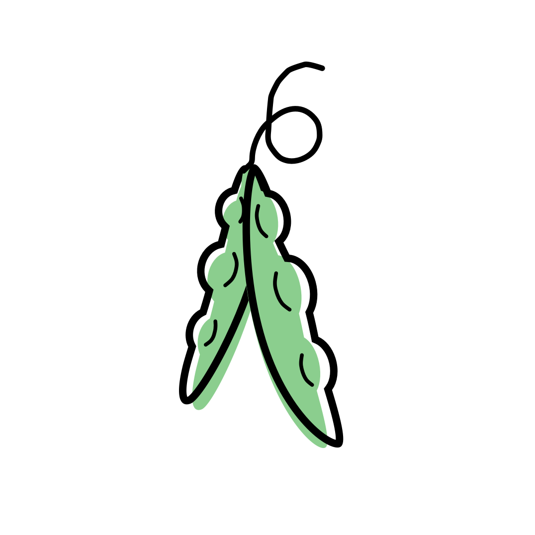 soy bean milk benefits