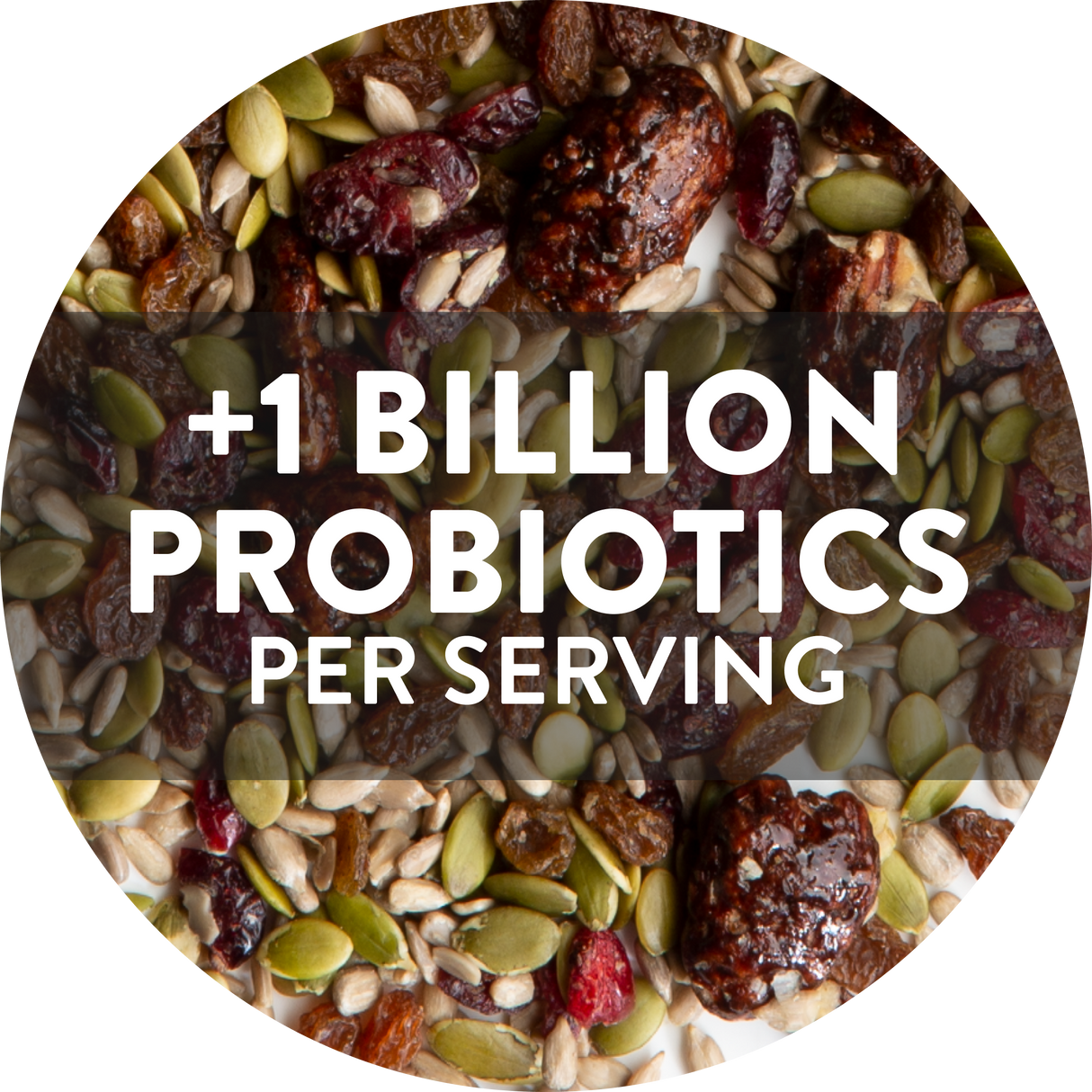 Yumi Probiotique Maple Pecan Crunch