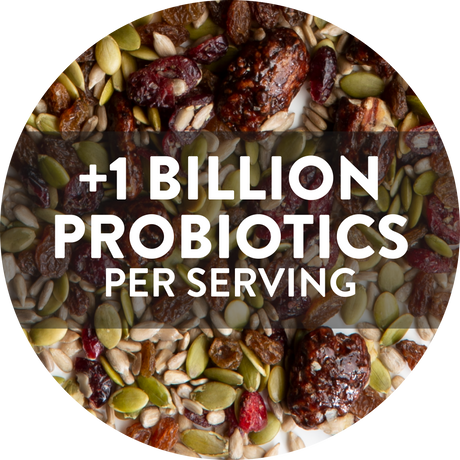 Yumi Probiotique Maple Pecan Crunch